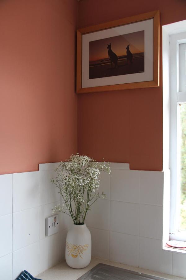 Beautiful Apartment In Guildford With Parking Send Eksteriør bilde
